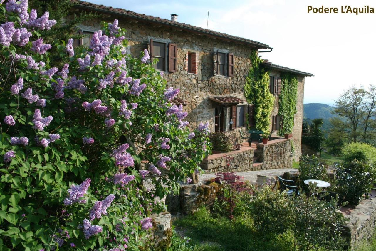 Podere L'Aquila Gaiole in Chianti Kültér fotó