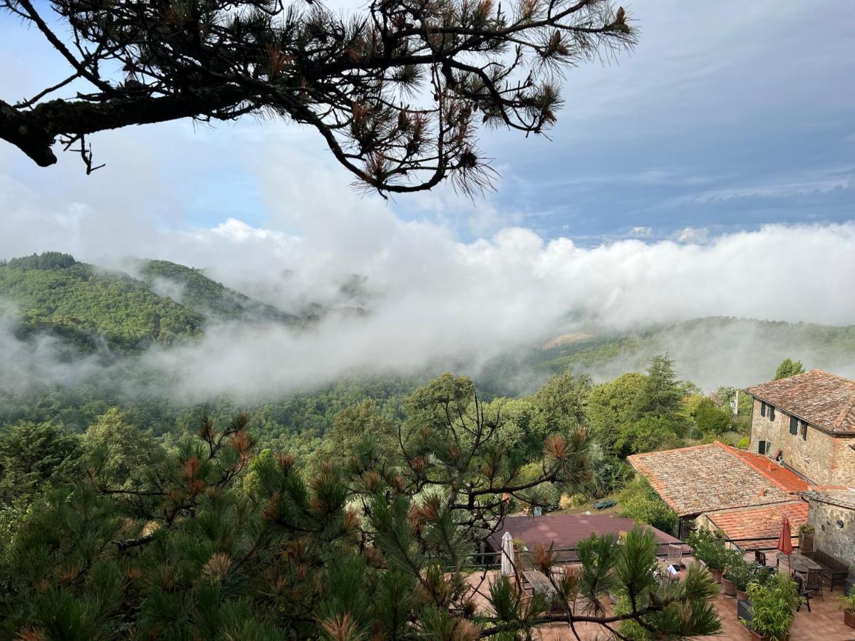 Podere L'Aquila Gaiole in Chianti Kültér fotó