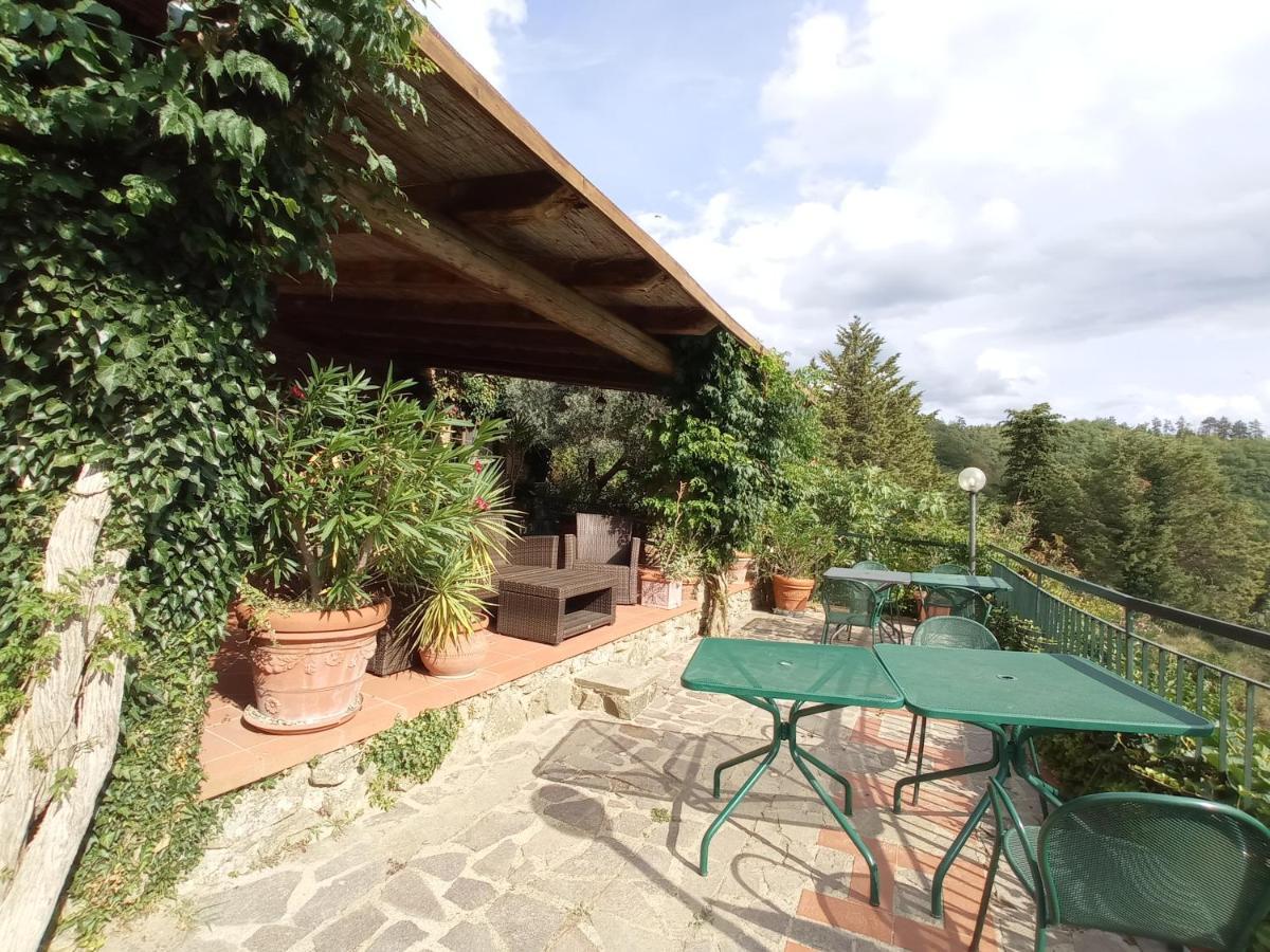 Podere L'Aquila Gaiole in Chianti Kültér fotó