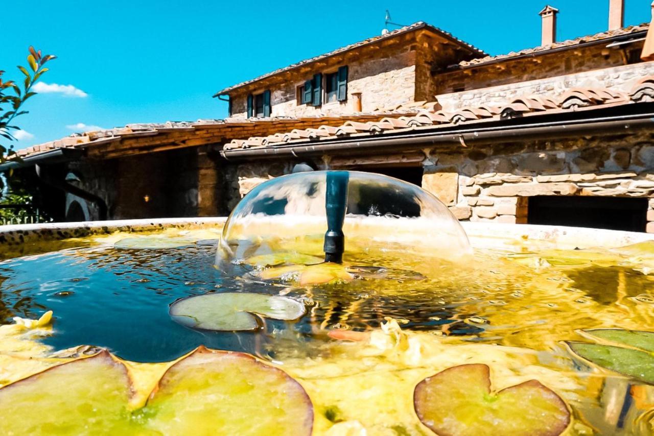 Podere L'Aquila Gaiole in Chianti Kültér fotó