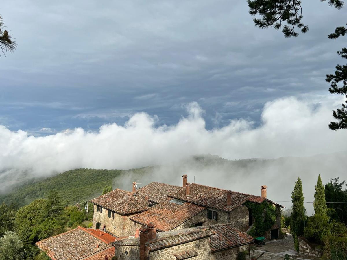 Podere L'Aquila Gaiole in Chianti Kültér fotó